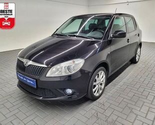 Skoda Skoda Fabia SHZ/Tempomat/PDC/16-Zoll-Alu Gebrauchtwagen