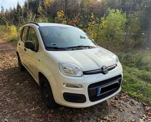 Fiat Fiat Panda 1.2 8V Klima Gebrauchtwagen