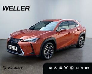 Lexus Lexus UX 250h Amazing Edition *Bi-LED*ACC*PDC*SHZ* Gebrauchtwagen