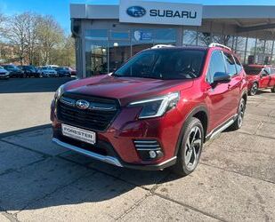 Subaru Subaru Forester 2.0ie Platinum LED*Leder*Harman/Ka Gebrauchtwagen