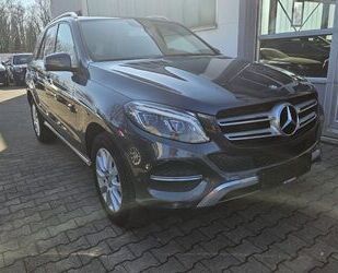 Mercedes-Benz Mercedes-Benz GLE 250 d 4Matic+Glasdach+Memory-Pak Gebrauchtwagen