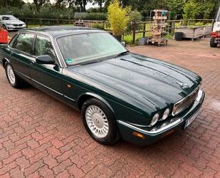 Jaguar Jaguar XJ 8 3,2 V8 Modell X308 Gebrauchtwagen