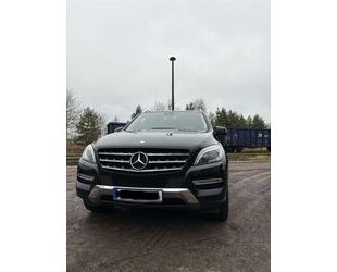 Mercedes-Benz Mercedes-Benz ML 350 Gebrauchtwagen