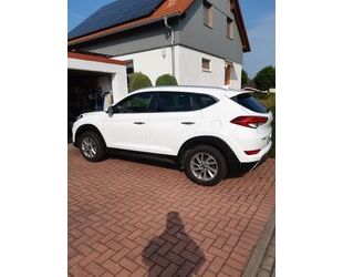 Hyundai Hyundai Tucson blue 1.6 GDI Trend2WD Trend Gebrauchtwagen