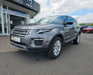 Land Rover Land Rover Range Rover Evoque SE Technik+Winter-P Gebrauchtwagen