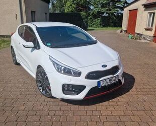 Kia Kia Ceed GT Gebrauchtwagen