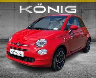 Fiat Fiat 500 1.0 CLUB Klima*GRA *EFH*LR*el.ASP Gebrauchtwagen