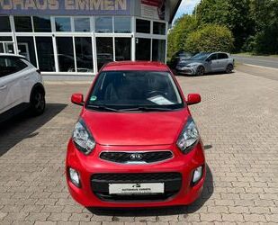 Kia Kia Picanto 1.2 Intro Edition Gebrauchtwagen