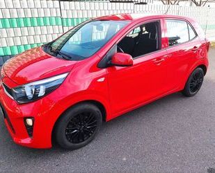 Kia Kia Picanto 1.2 Edition 7 Scheckheft gepflegt Gebrauchtwagen