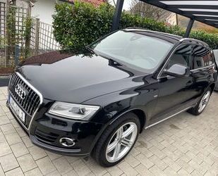 Audi Audi Q5 3.0 TDI S tronic quattro - ACC, AHK, Leder Gebrauchtwagen