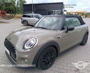 Mini MINI Cooper Cabrio Chili LED Tempomat Klimaaut. Sh Gebrauchtwagen