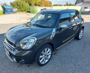 Mini MINI Cooper SD All4 Countryman*LEDER*NAVI*PANO*HAR Gebrauchtwagen