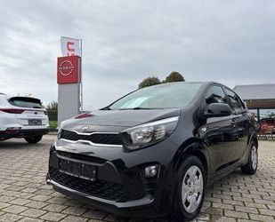 Kia Kia Picanto Edition 7 Gebrauchtwagen