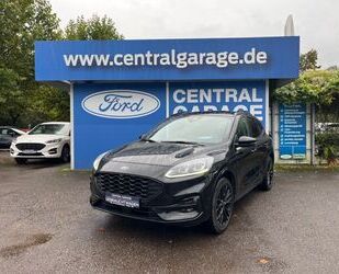 Ford Ford Kuga 2.5 Duratec FHEV 4x4 ST-LINE X Gebrauchtwagen