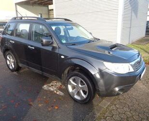 Subaru Subaru Forester Comfort ALLRAD Gebrauchtwagen