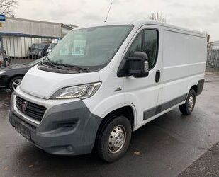 Fiat Fiat Ducato Kasten 30 115 L1H1 Kamera Gebrauchtwagen