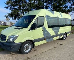 Mercedes-Benz Mercedes-Benz Sprinter 313 Maxilang u Hoch 9 Sitze Gebrauchtwagen