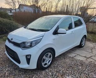 Kia Kia Picanto 1.0*Klima*Euro 6 Gebrauchtwagen