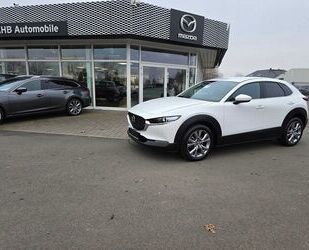 Mazda Mazda CX-30 L SKYACTIV-G 2.0 150PS M Hybrid 6GS AL Gebrauchtwagen