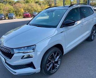 Skoda Skoda Karoq 2,0TDi Sportline 4x4 19