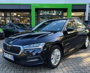 Skoda Skoda Octavia Combi 2.0 TDI Ambition Gebrauchtwagen