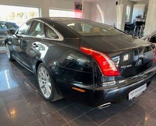 Jaguar Jaguar XJ Premium Luxury 5.0 V8 Premium Luxury Gebrauchtwagen