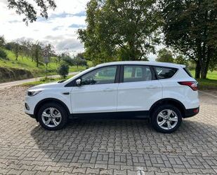 Ford Ford Kuga 1,5 EcoBoost 2x4 88kW Trend Trend Gebrauchtwagen