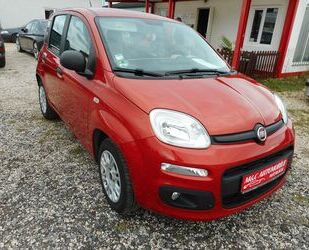 Fiat Fiat Panda Easy**WENIG KM **TÜV NEU** Gebrauchtwagen