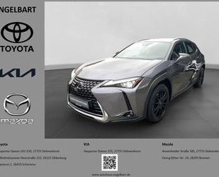 Lexus Lexus UX 250h Luxury Line Schiebedach Navigation 3 Gebrauchtwagen