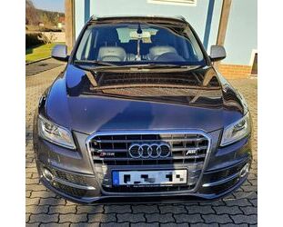 Audi Audi SQ5 3.0 TDI plus tiptronic quattro -365PS Gebrauchtwagen