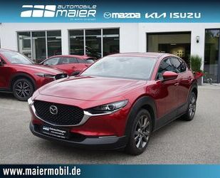 Mazda Mazda CX-30 2.0 SKYACTIV-X Selection AWD *LED* KAM Gebrauchtwagen