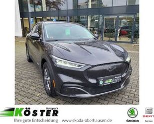 Ford Mustang Gebrauchtwagen