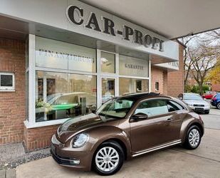 VW Volkswagen Beetle DSG Navi/Leder/Panorama/Standhei Gebrauchtwagen