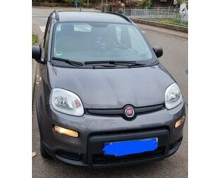 Fiat Fiat Panda 1.2 8V CITY LIFE LPG CITY LIFE Gebrauchtwagen