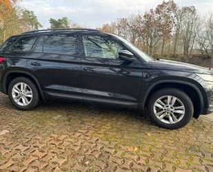 Skoda Skoda Kodiaq 2.0 TDI SCR DSG - Sommer Winterreife Gebrauchtwagen