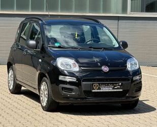 Fiat Fiat Panda Easy Klima TÜV/AU 07.2026 Gebrauchtwagen