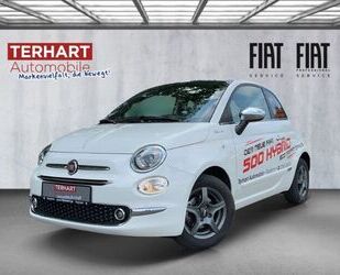 Fiat Fiat 500 DolceVita 1.0 Mild Hybrid/Panoramadach/PD Gebrauchtwagen