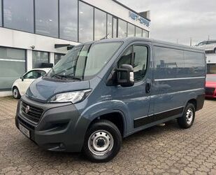 Fiat Fiat Ducato Kasten L1H1 Klima*bluetooth*Kamera*LED Gebrauchtwagen