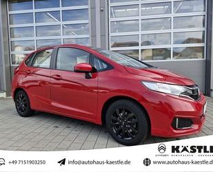 Honda Honda Jazz Trend 1.3 i-VTEC SHZ Gebrauchtwagen