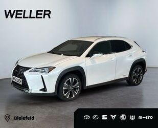 Lexus Lexus UX 250h Amazing Edition *LED*CarPlay*SmartKe Gebrauchtwagen