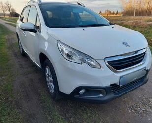 Peugeot Peugeot 2008 1.2 PureTech 110 Gebrauchtwagen