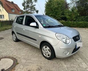 Kia Kia Picanto 1.1 Spirit Spirit Gebrauchtwagen