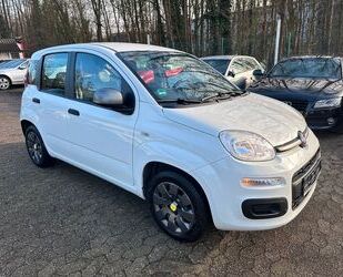 Fiat Fiat Panda Young KLIMA Gebrauchtwagen