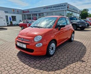 Fiat Fiat 500 Cult Klima, LM Felgen Gebrauchtwagen