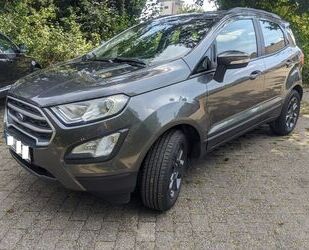 Ford Ford EcoSport 1,0 EcoBoost 92kW Trend Trend Gebrauchtwagen