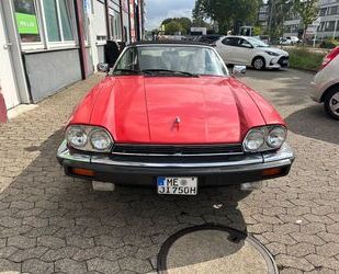 Jaguar Jaguar XJS H-Zulassung Gebrauchtwagen