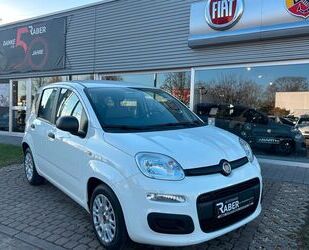 Fiat Fiat Panda Hybrid 1.0 51kw Gebrauchtwagen