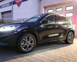 Ford Ford Kuga 2.5 Duratec PHEV ST-Line 1. Hand. Gebrauchtwagen