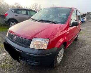 Fiat Fiat Panda 1.1 8V Active ELEKTR.FENSTER 5-TRG TÜV Gebrauchtwagen