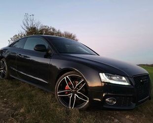 Audi Audi A5 3.0 TDI quattro - S-Line Gebrauchtwagen